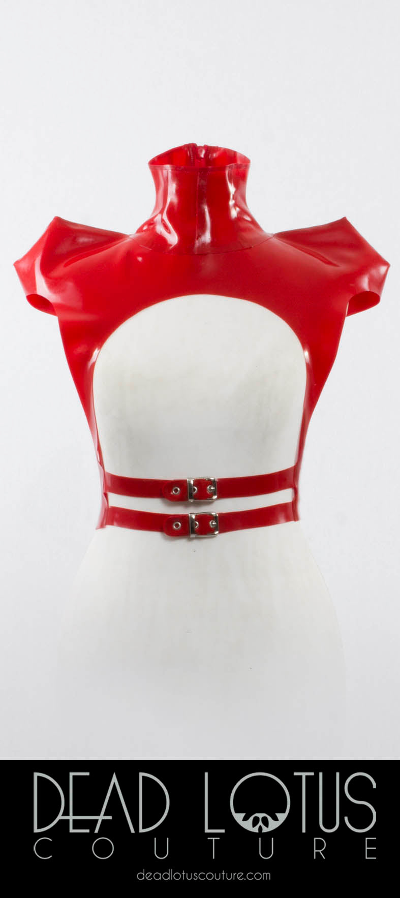 BELTS ▪ & ▪ HARNESSES