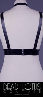 KAMY Harness